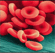 Hematologick&yacute; atlas